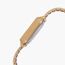 Casio Gold Steel Watch
