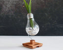 MESMERIZED BETA & HEX ANTI-STRESS BULBS